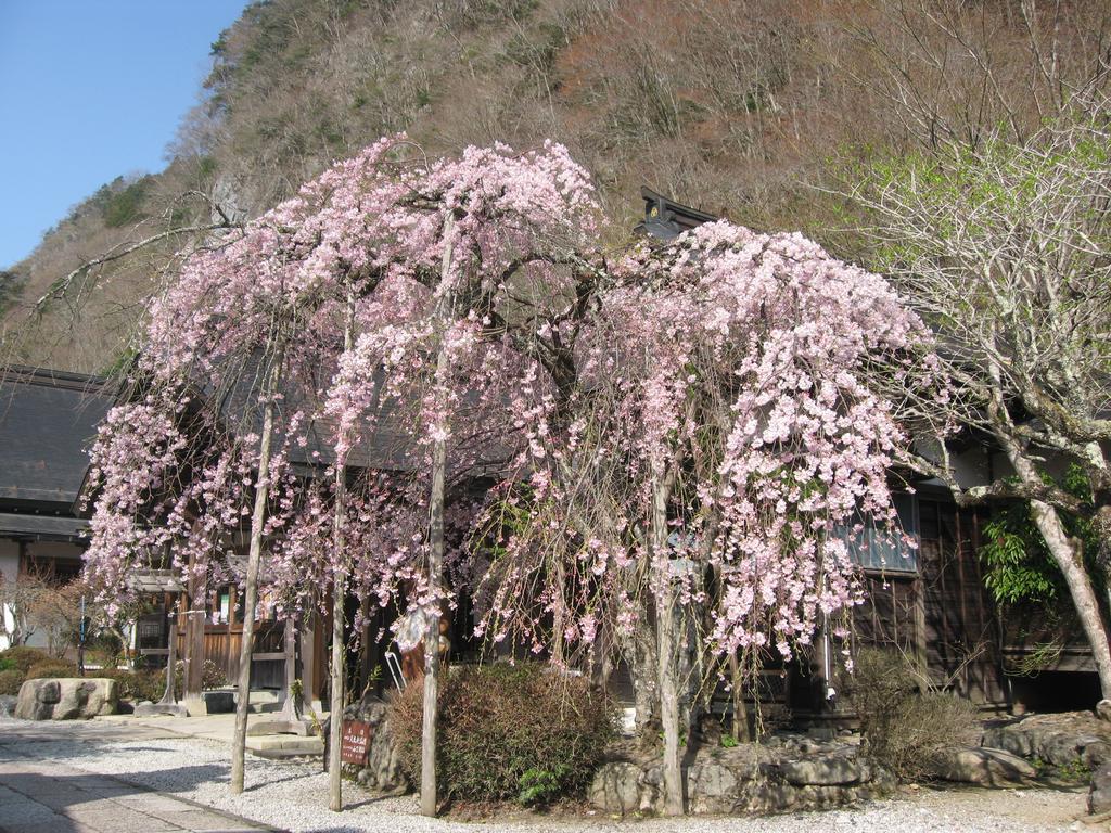 Masugen Ryokan Tenkawa Exteriér fotografie